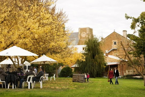 Clare Valley Intimate Winery Tour By Private Limo From Adelaide - Darwin Holiday 3