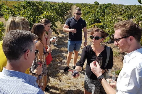 Micro-Group Barossa Valley Wine Tour From Adelaide - Darwin Holiday 8
