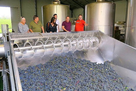 Micro-Group Barossa Valley Wine Tour From Adelaide - Darwin Holiday 4