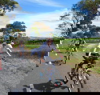 McLaren Vale Wine Tour by Bike - Darwin Holiday