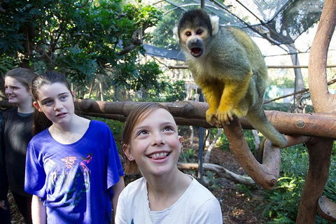 Adelaide Zoo Behind The Scenes Experience: Squirrel Monkey Feeding - Darwin Holiday 1