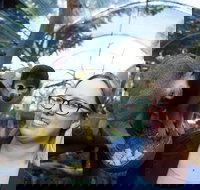 Adelaide Zoo Behind the Scenes Experience Squirrel Monkey Feeding - Darwin Holiday