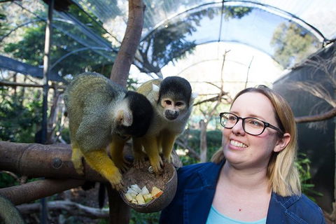 Adelaide Zoo Behind The Scenes Experience: Squirrel Monkey Feeding - Darwin Holiday 0