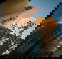 Lions 360 Experience and a Day at Monarto Safari Park - Darwin Holiday