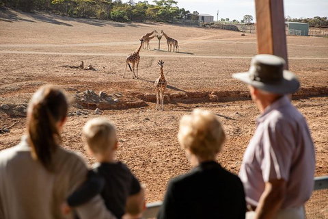 Monarto Safari Park General Admission Ticket - Darwin Holiday 0