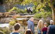 Adelaide Zoo Behind The Scenes Experience: Panda And Friends Tour - thumb 0
