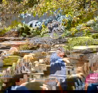 Adelaide Zoo Behind the Scenes Experience Panda and Friends Tour - Darwin Holiday