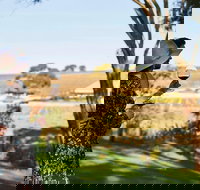 Micro-Group McLaren Vale Wine Tour from Adelaide - Darwin Holiday