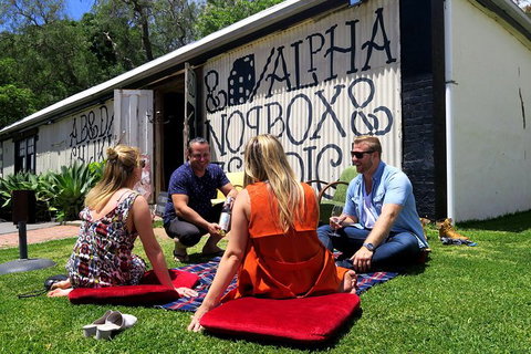 Micro-Group McLaren Vale Wine Tour From Adelaide - Darwin Holiday 1