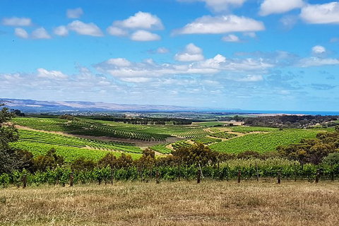 Micro-Group McLaren Vale Wine Tour From Adelaide - Darwin Holiday 4