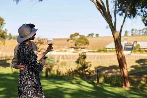 Micro-Group McLaren Vale Wine Tour From Adelaide - Darwin Holiday 7