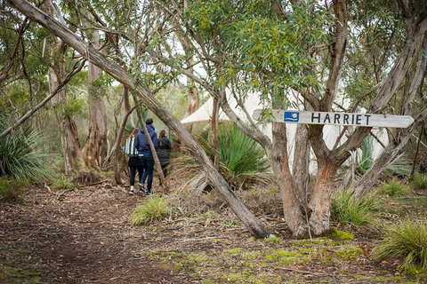 2-Day Kangaroo Island 4WD Small-Group Tour From Adelaide - Darwin Holiday 3