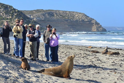 2-Day Kangaroo Island 4WD Small-Group Tour From Adelaide - Darwin Holiday 5