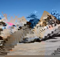 2-Day Kangaroo Island Adventure Tour from Adelaide - Darwin Holiday