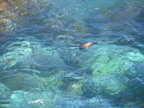 2-Day Kangaroo Island Adventure Tour From Adelaide - Darwin Holiday 9