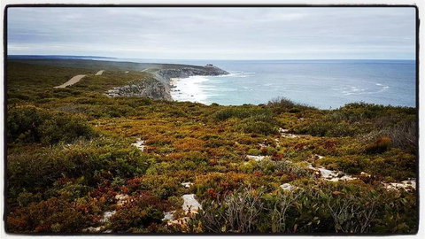 2-Day Kangaroo Island Adventure Tour From Adelaide - Darwin Holiday 4