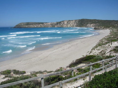 2-Day Kangaroo Island Adventure Tour From Adelaide - Darwin Holiday 11