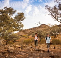 Flinders Ranges 3 Day 4WD Small Group Eco Tour from Adelaide - Darwin Holiday
