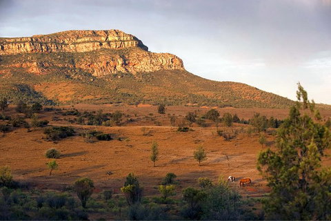 Flinders Ranges 3 Day 4WD Small Group Eco Tour From Adelaide - Darwin Holiday 8