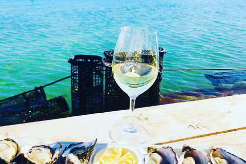 Coffin Bay Oyster Farm & Tasting Tour - Darwin Holiday 11