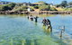 Coffin Bay Oyster Farm & Tasting Tour - thumb 6