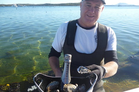 Coffin Bay Oyster Farm & Tasting Tour - Darwin Holiday 2