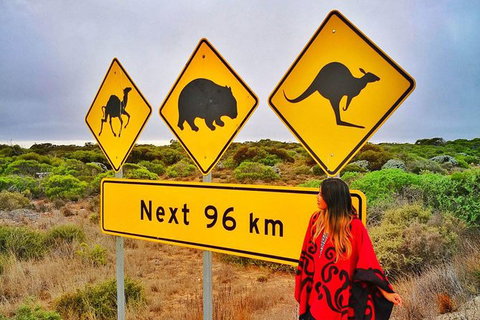 3 Day Whale Watching Tour From Adelaide - Darwin Holiday 10