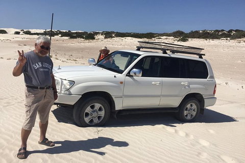 3 Day Whale Watching Tour From Adelaide - Darwin Holiday 11