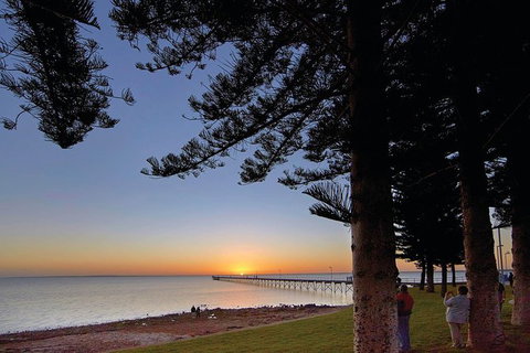 3 Day Whale Watching Tour From Adelaide - Darwin Holiday 4