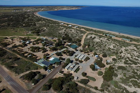 3 Day Whale Watching Tour From Adelaide - Darwin Holiday 13