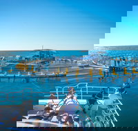 2 Hour Aquarium Tour - Darwin Holiday