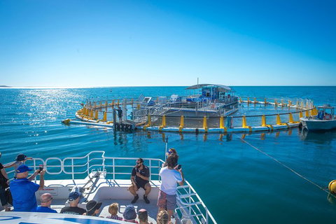 2 Hour Aquarium Tour - Darwin Holiday 0