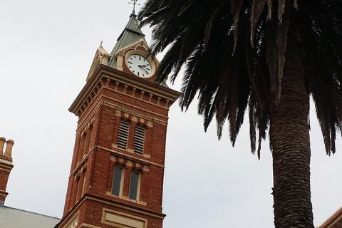 Adelaide Walking Tour: Hills, Squares And Parklands - Darwin Holiday 5