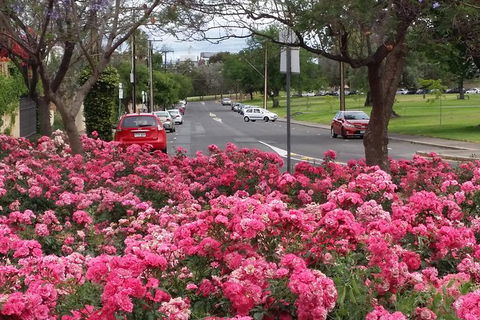 Adelaide Walking Tour: Hills, Squares And Parklands - Darwin Holiday 6