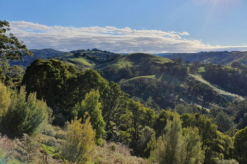 3-Day Adelaide To Melbourne Tour Including The Great Ocean Road - Darwin Holiday 7