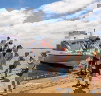 Coorong Discovery Cruise - Darwin Holiday