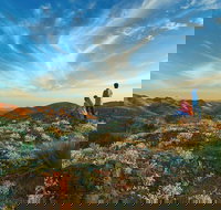 7-Night Murraylands and Wildlife Cruise - Darwin Holiday