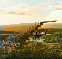 The Lane Vineyard Panorama Private Wine Tasting Experience - Darwin Holiday