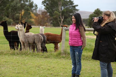 Alpaca Farm 2 Hour Tour - Darwin Holiday 1