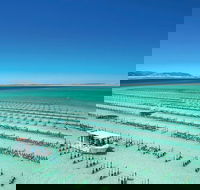 Coffin Bay Day Tour - A Taste of Coffin Bay - Darwin Holiday