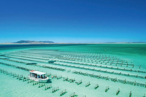 Coffin Bay Day Tour - A Taste Of Coffin Bay - Darwin Holiday 0