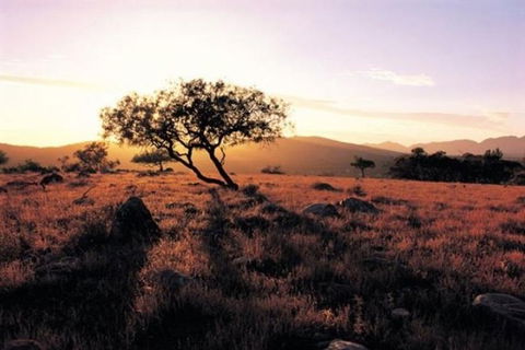 Adelaide To Coober Pedy 7 DAY SMALL GROUP 4WD SAFARI - Darwin Holiday 0