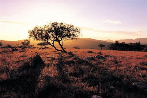 Adelaide To Coober Pedy 7 DAY SMALL GROUP 4WD SAFARI - Darwin Holiday 4