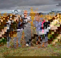 McLaren Vale Winery Small Group Tour with Wine Tasting and Lunch - Darwin Holiday