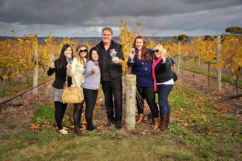 McLaren Vale Winery Small Group Tour With Wine Tasting And Lunch - Darwin Holiday 0