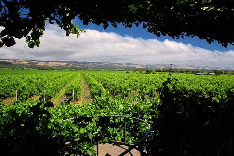 McLaren Vale Winery Small Group Tour With Wine Tasting And Lunch - Darwin Holiday 1