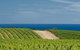 McLaren Vale Winery Small Group Tour With Wine Tasting And Lunch - thumb 7
