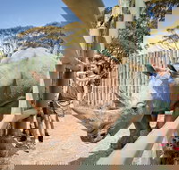 Rhino Interactive and a day at Monarto Safari Park - Darwin Holiday