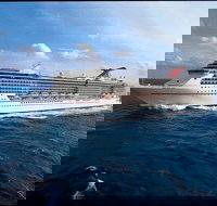 Shore Excursion Private Tour of Adelaide City Adelaide Hills and Adelaide's Best Beaches - Darwin Holiday