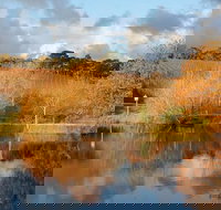 Small-Group Fleurieu Peninsula Food and Wine Experience by 4WD Including 3-Course Lunch - Darwin Holiday